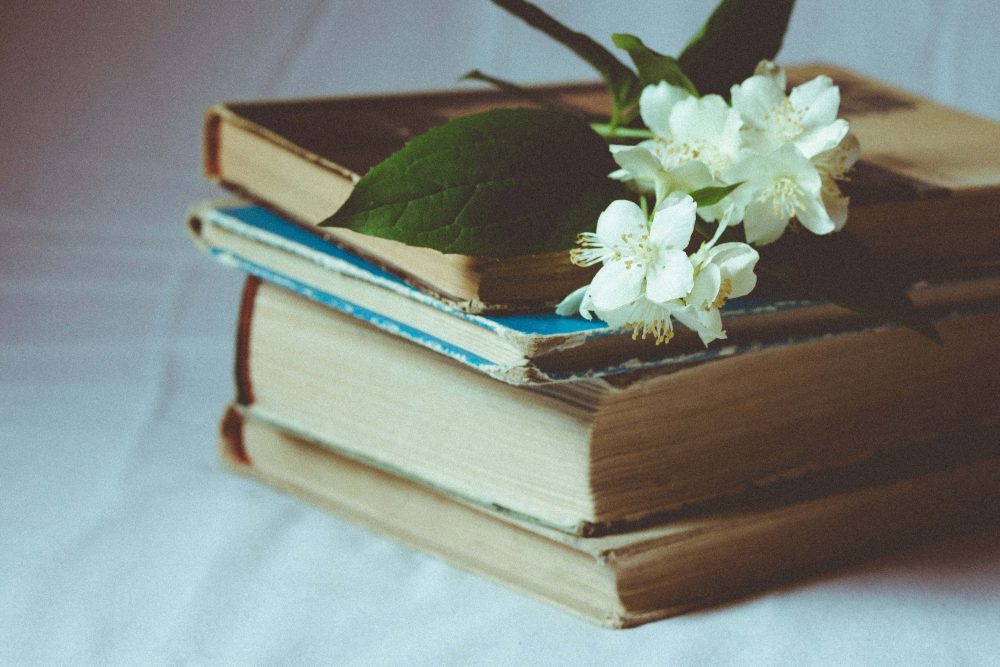 unique literary gifts for book lovers