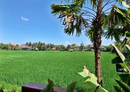 cangu bali landscape Sista