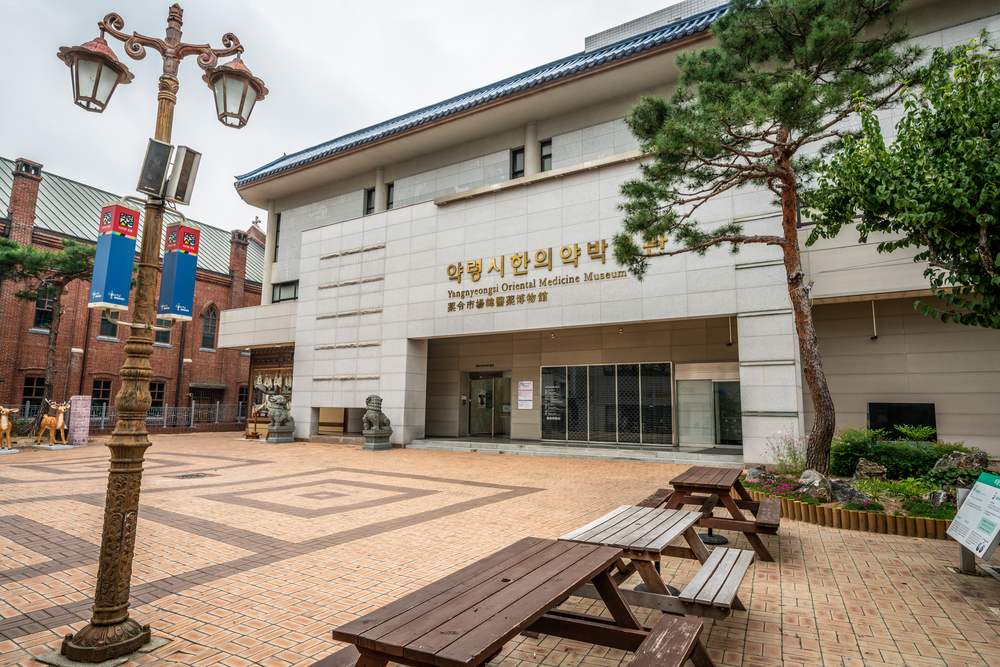 Daegu Yangnyeongsi oriental medicine museum